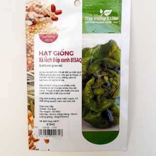 Hạt giống xà lách búp xanh