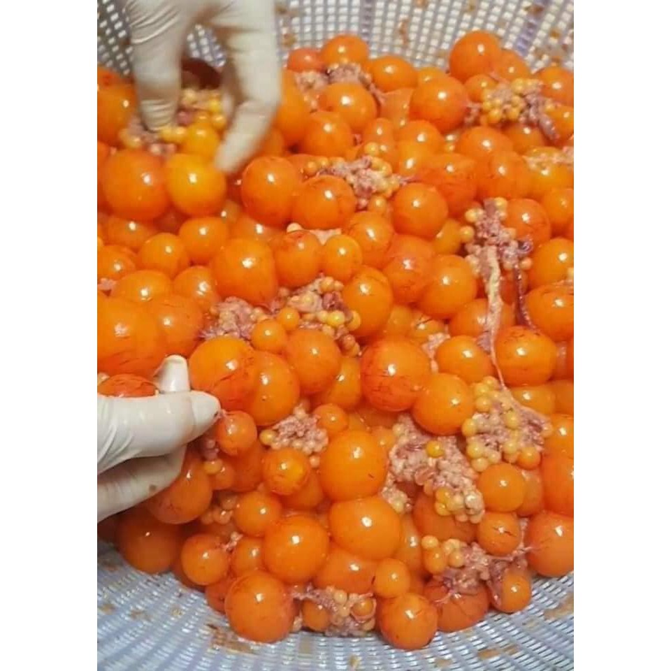 TRÀNG TRỨNG GÀ NON BỔ DƯỠNG HỘP 500GR