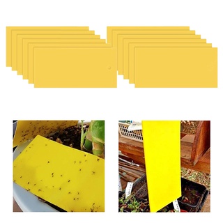 Set 20 Giấy Dính Ruồi Hai Mặt Màu Vàng