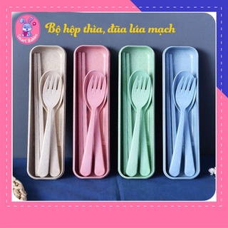 Bộ thìa, đũa cá nhân có hộp làm từ lúa mạch, bộ đũa thìa mang đi văn phòng, du lịch