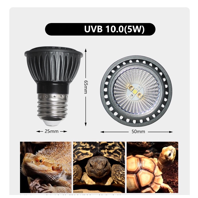Đèn led UVB 5.0 và UVB 10.0 5w bổ sung canxi cho bò sát thú cưng không cần dùng chụp đèn
