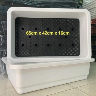 ⚡Ship Hỏa Tốc⚡ Khay Nhựa Trồng Rau Nuôi Cá Thông Minh Kèm Lưới Lót 65x42x16cm [Loại Tốt] - An An Saigon