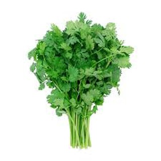 20gram HẠT GIỐNG RAU MÙI (NGÒ)