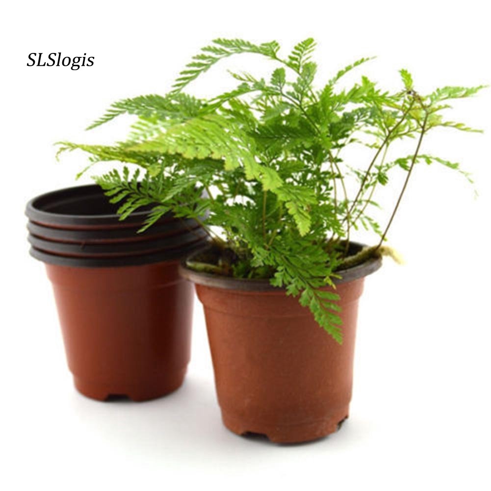 Bộ 10 Chậu Nhựa Trồng Cây Kiểu Tròn Cỡ Nhỏ