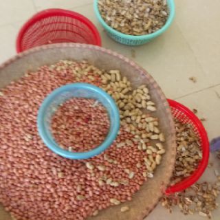 Lạc nhân đỏ lạc nhân trắng