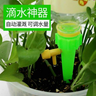 Dụng Cụ Tự Tưới Nước Cho Cây