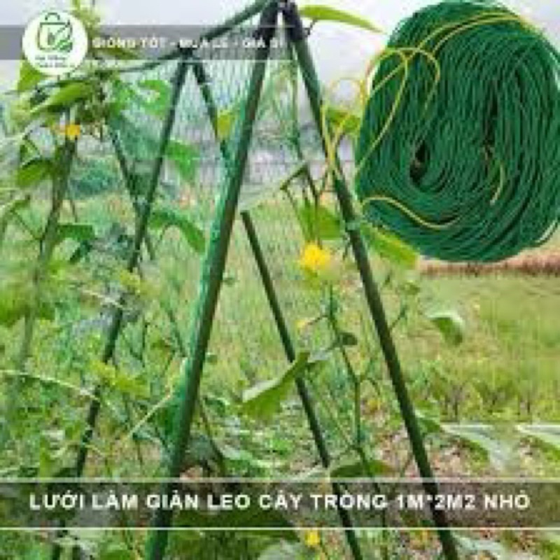 Lưới Làm Giàn Leo Cho Bầu, Bí, Mướp, Dưa….Nhiều từ 0.9m đến 5m