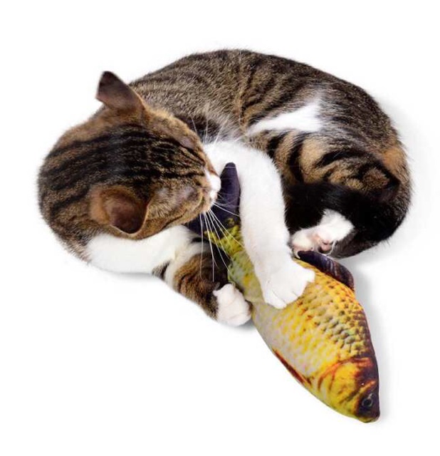 [ Cá Catnip bạc hà cho mèo ] đồ chơi cho mèo