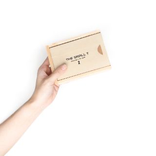Đồ chơi gỗ - The Small T 2 (NT)