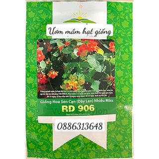 Hạt Giống Hoa Sen Cạn Lùn Rd 914 (5 Hạt)