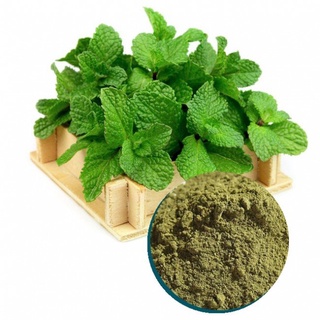 (HCM) BỘT LÁ BẠC HÀ ( Mint Leaf Powder )