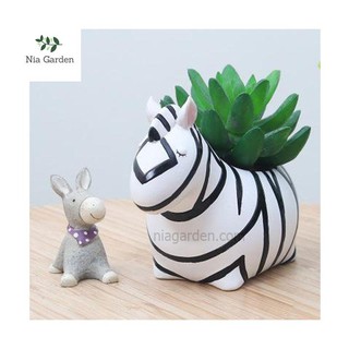 Chậu hình thú ngựa vằn trồng cây cảnh, sen đá, cây để bàn