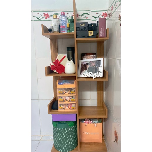 Kệ Để Sách, Kệ Sách Gỗ Hình Xương Rồng Cực Tiện Ích