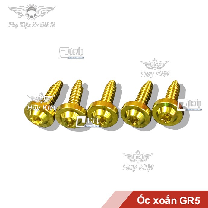 [Rẻ Vô Địch] - (3387) - Bộ 7 Ốc Xoắn GR5 Bắt Pô E Xe Vario, Vision (Titan Thật 100%)