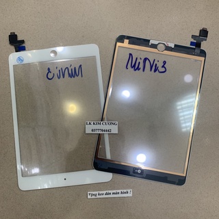 Cảm Ứng tương thích mini 3