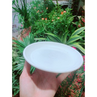 Đĩa Lót Chậu đường kính 17-21-24cm
