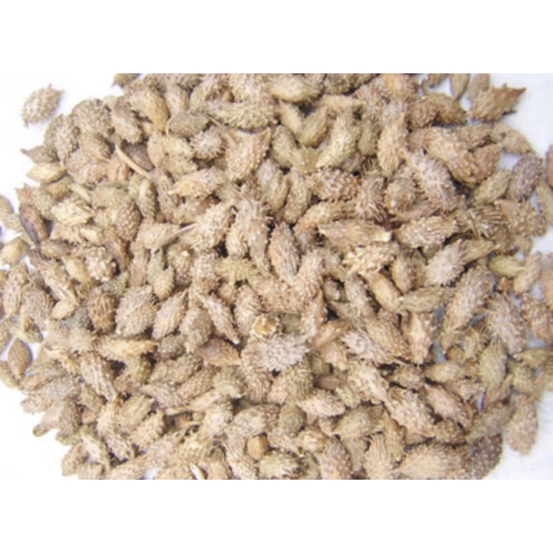 1Kg Quả ké đầu ngựa khô