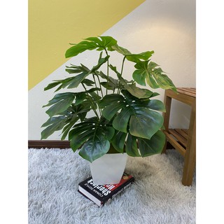 Cây trầu bà lá xẻ cao 70cm, cây giả decor trang trí nhà cửa, văn phòng, homestay