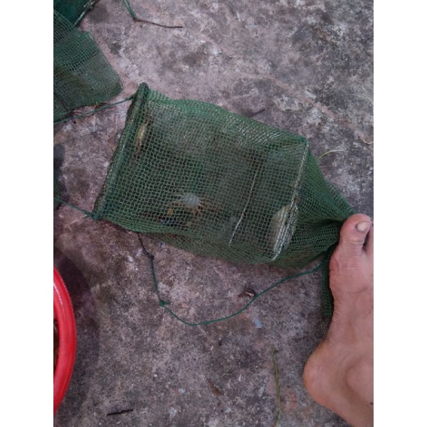 bẫy cua đồng cải tiến của miền bắc,RỌ BẪY CUA,LỢP CUA ĐỒNG