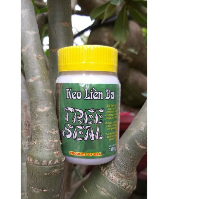 Keo liền sẹo Mỹ, keo đen nhập khẩu Mỹ