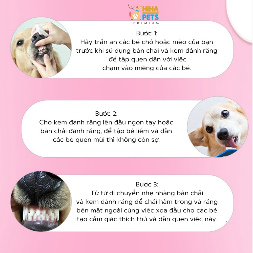 Bộ Kem Đánh Răng Và Bàn Chải Đánh Răng Chó Mèo Bộ Kem Đánh Răng Có Bàn Chải Cho Thú Cưng Hiha Pets.