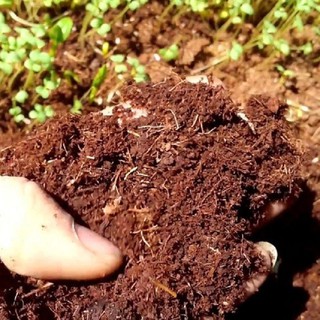 Giá thể mùn chuyên trồng rau mầm| Xơ dừa gói 1kg