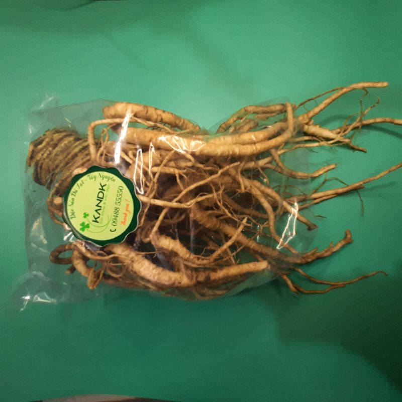 |10KG| Sâm đương quy tươi Đức Trọng - Lâm Đồng