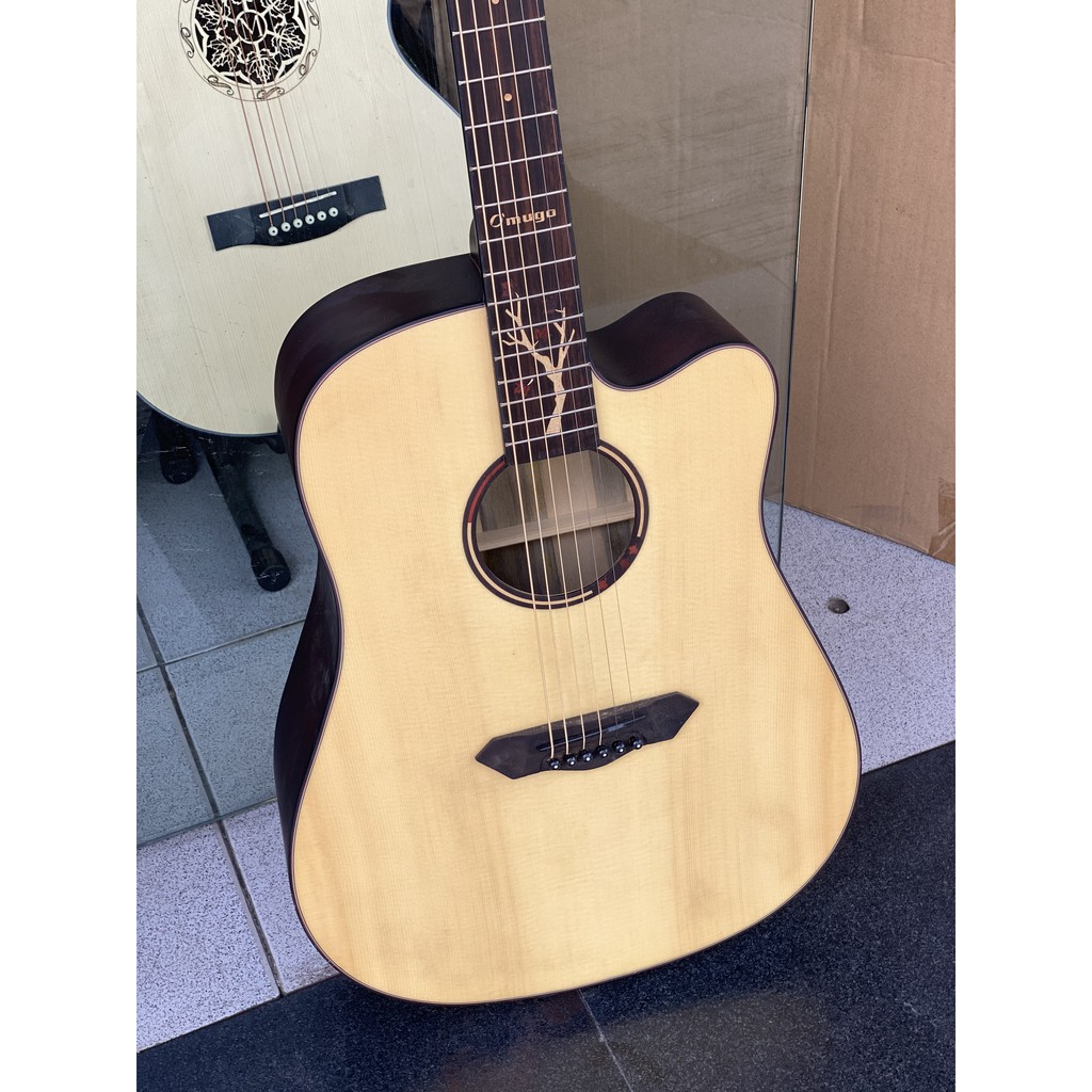 Đàn guitar acoustic đẹp giá rẻ [Tặng kèm phụ kiện]