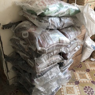 Cát vệ sinh mèo Gagette Cat Bentonite than hoạt tính hạt mịn ít bụi siêu vón khử mùi hiệu quả