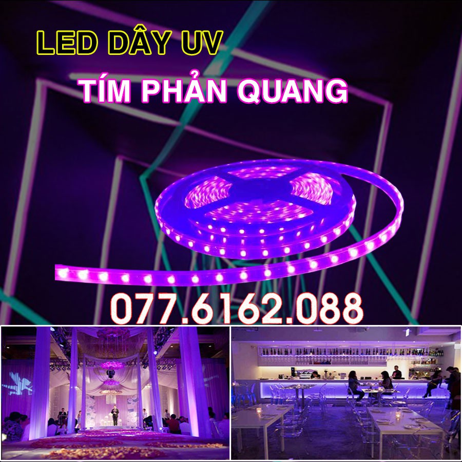Đèn Led Dây UV tím dạ quang