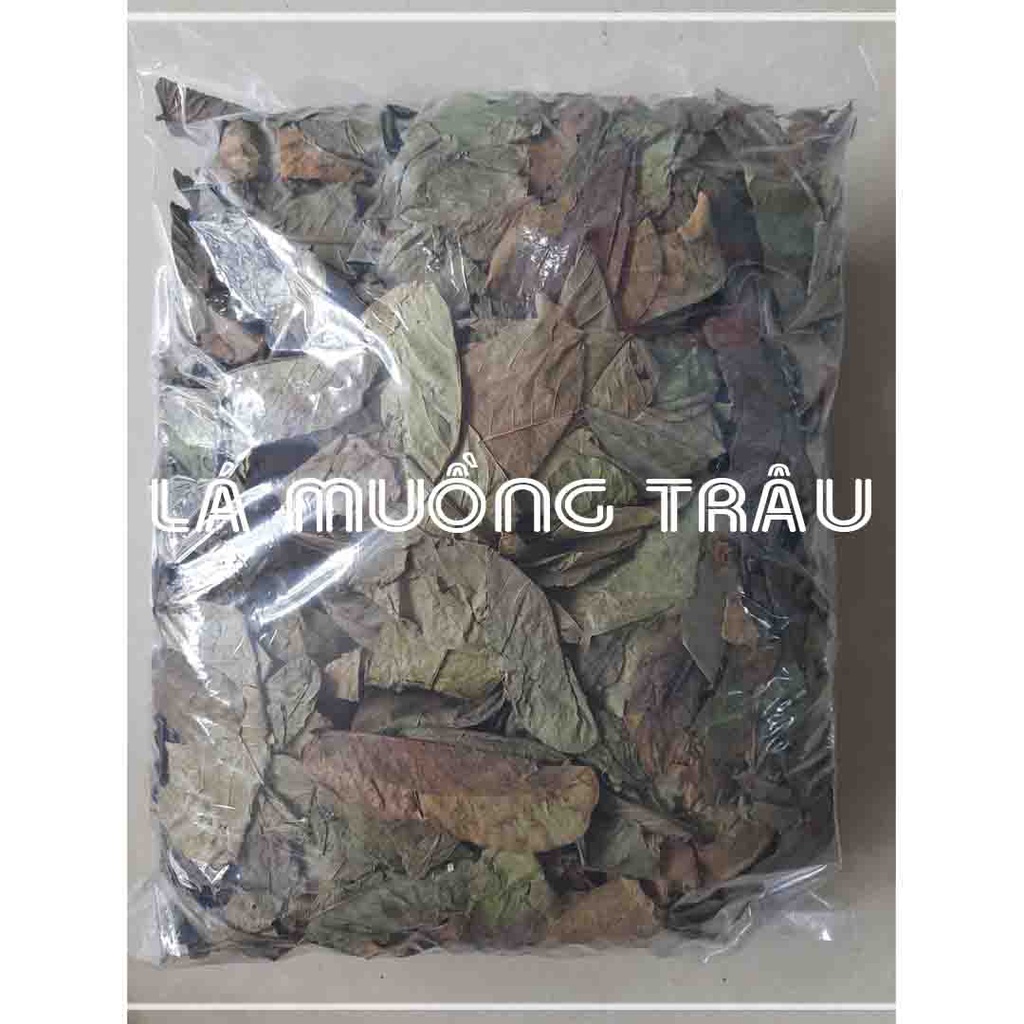 Lá Muồng Trâu khô đóng gói 500g - Hàng Công Ty loại 1