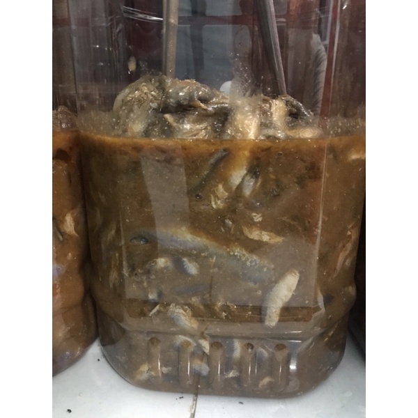Mắm cá linh nguyên con hủ 500gr