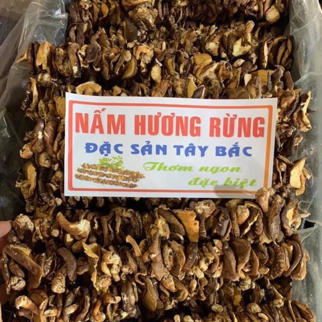 NẤM HƯƠNG RỪNG 500g