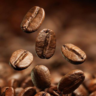 CÀ PHÊ CHUẨN VỊ 1800 BEANS (250gr/500gr/700gr/1kg)