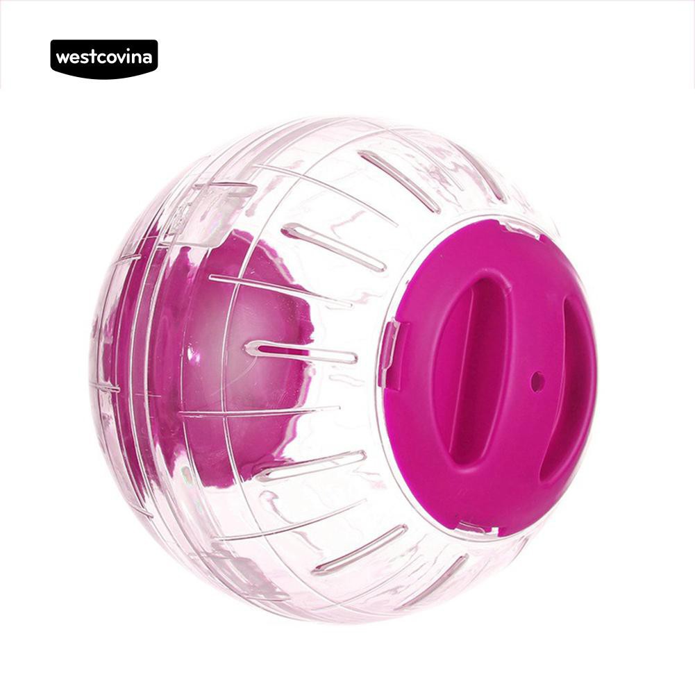 Bóng lăn đồ chơi cho chuột Hamster