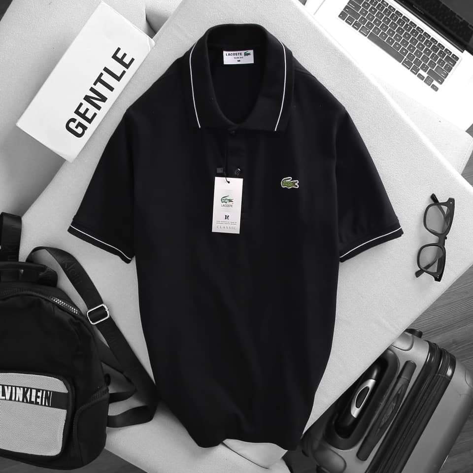 Áo thun POLO nam,Cổ viền, áo thun nam ngắn tay thêu Cá Sấu,trẻ trung năng động | BigBuy360 - bigbuy360.vn