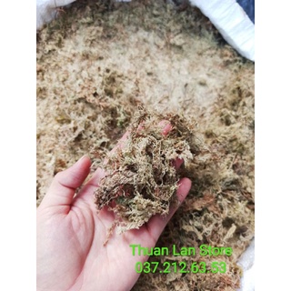 Dớn Trắng (Dớn Mềm)  Giữ Ẩm Tốt Gói 50g