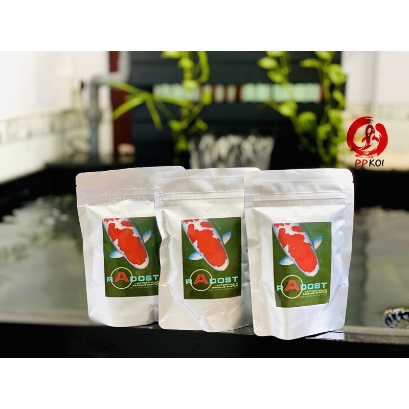 Men vi sinh đường ruột cho cá Koi RADOST