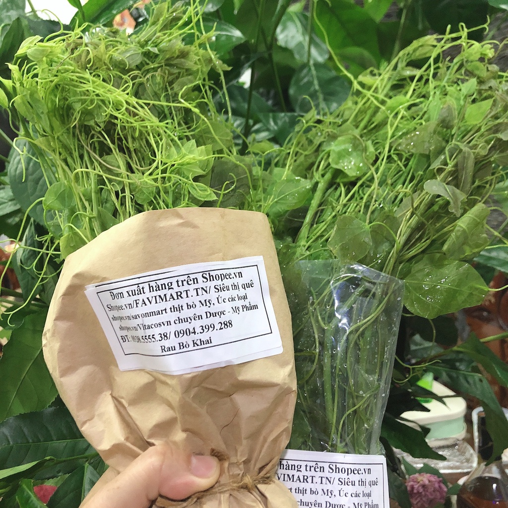 Đọt su + Khổ qua rừng tươi , chính gốc