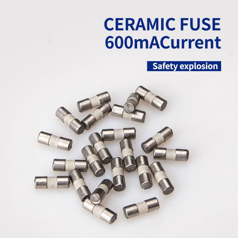 Bộ 20/10 Cầu Chì Gốm Sứ 600ma 10a Cho Đồng Hồ Vạn Năng
