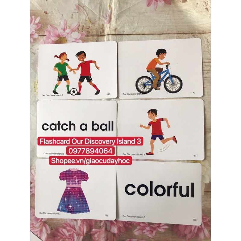 Flashcards  Our Discovery Island 3☘️194 thẻ thiết kế hai mặt bền đẹp💯