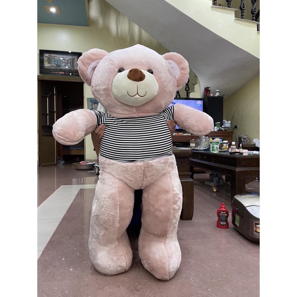 Gấu Bông Teddy siêu to 1M1 hàng nhập siêu to, ảnh tự chụp, không rụng lông siêu mượt