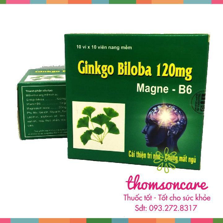 Ginkgo Biloba 120mg - cải thiện trí nhớ, giảm mất ngủ, hoạt huyết dưỡng não, có thêm Magie B6 - Hộp 100 viên.