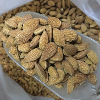 Hạnh nhân hạt