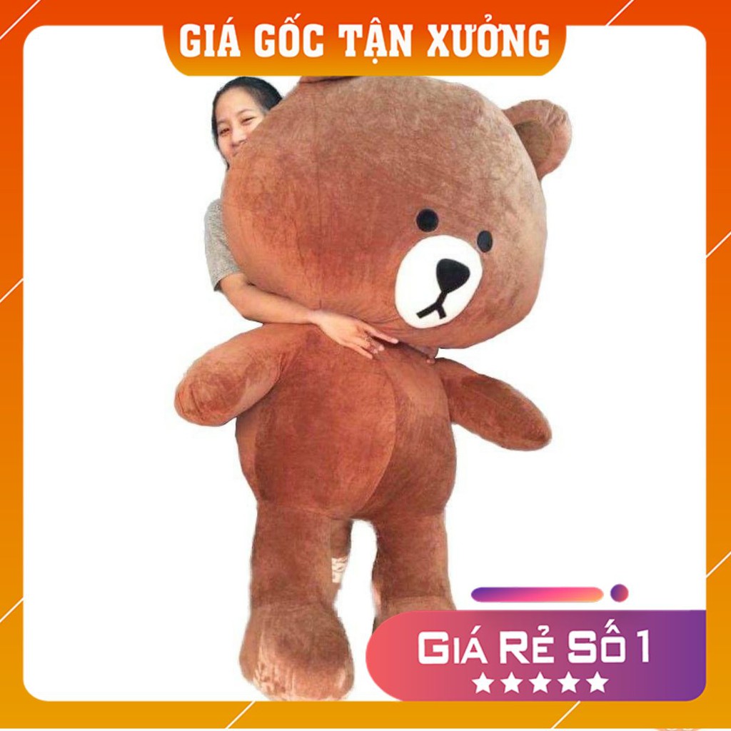 Gấu bông Brown khổ vải 1m6 hàng cao cấp siêu dễ thương -[hàng giá xưởng]