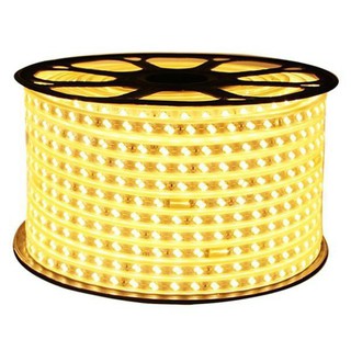 {GIÁ SẬP SÀN} Cuộn led dây đôi 2835 100M (ánh sáng vàng, trắng, xanh dương)