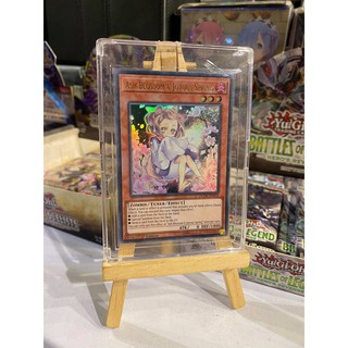 Combo chân đế gỗ trưng bày + bọc cứng bảo quản