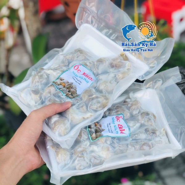 [Mã 267FMCGSALE giảm 8% đơn 500K] [NowShip] Giá sỉ 1Kg Ốc Bulot Sạch Sẽ | BigBuy360 - bigbuy360.vn
