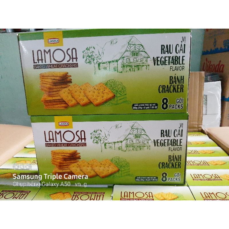 BÁNH VỊ RAU CỦ VÀ LÚA MÌ