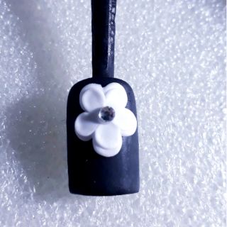 Hoa bột mỹ nail 2 tầng